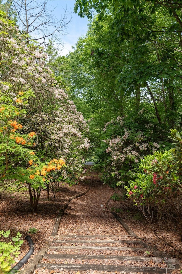 201 Kawani Ln, Brevard, NC 28712 - view of yard