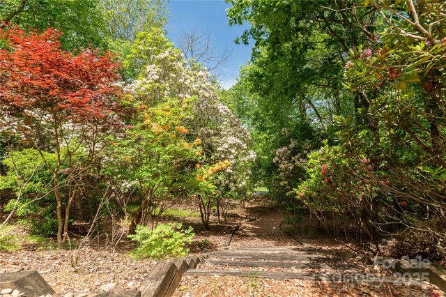 201 Kawani Ln, Brevard, NC 28712 - view of undeveloped land
