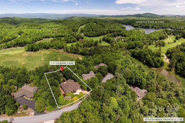 201 Kawani Ln, Brevard, NC 28712 - view of property location with a water and mountain view, a heavily wooded area, and property boundaries highlighted