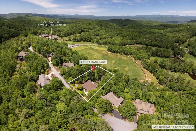 201 Kawani Ln, Brevard, NC 28712 - aerial view of property and surrounding area featuring a forest and property parcel outlined