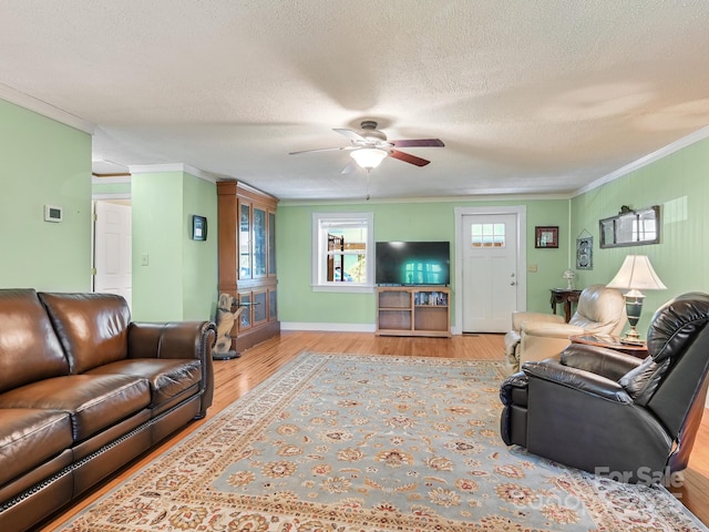 90 Coates Rd, Marshall, NC 28753 - living area with crown molding, wood finished floors, ceiling fan, a textured ceiling, and baseboards