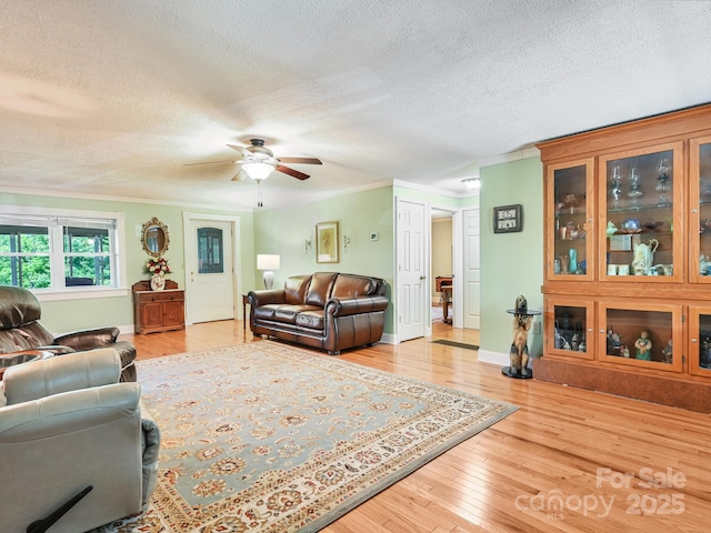 90 Coates Rd, Marshall, NC 28753 - living room featuring crown molding, ceiling fan, a textured ceiling, baseboards, and light wood-type flooring
