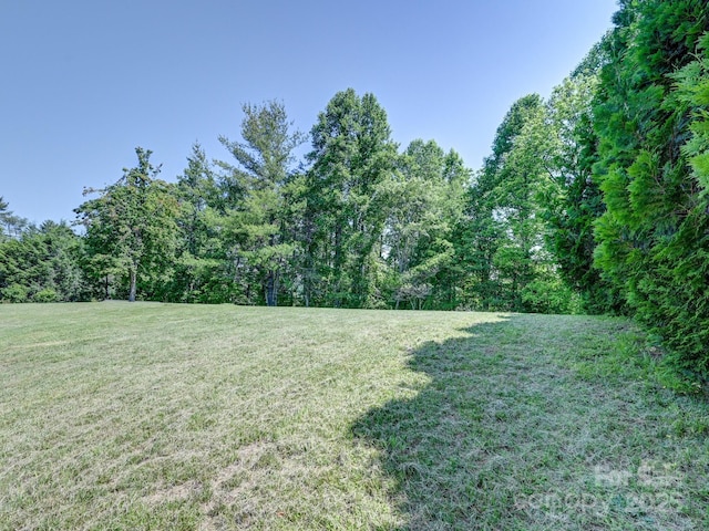 90 Coates Rd, Marshall, NC 28753 - view of grassy yard featuring a wooded view