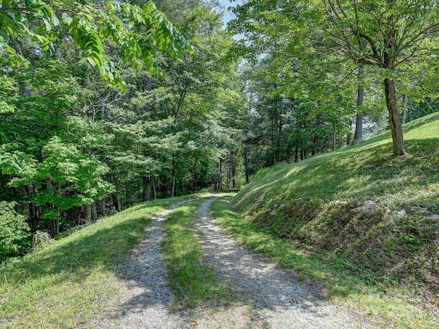 90 Coates Rd, Marshall, NC 28753 - view of dirt / gravel road featuring a forest view