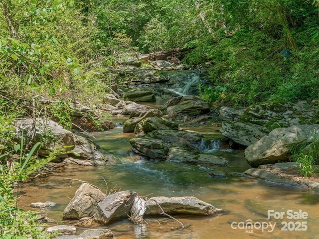 90 Coates Rd, Marshall, NC 28753 - view of local wilderness