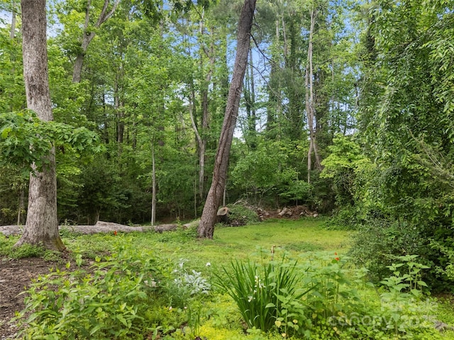 23 Leatherwood Ln, Hendersonville, NC 28739 - photo 19