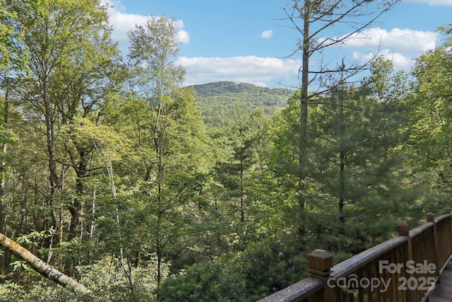 1396 W Christy Trl, Sapphire, NC 28774 - photo 3