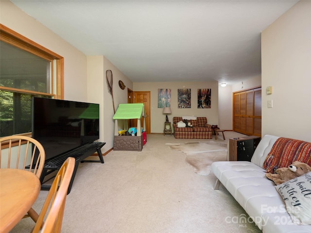 1396 W Christy Trl, Sapphire, NC 28774 - photo 21
