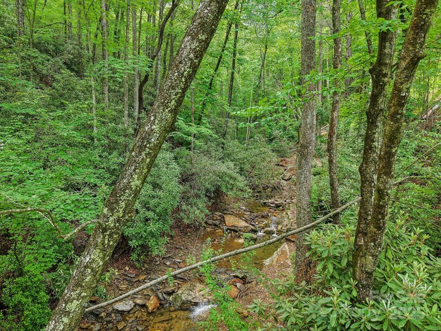 685 Freeman Creek Rd, Zirconia, NC 28790 - photo 26