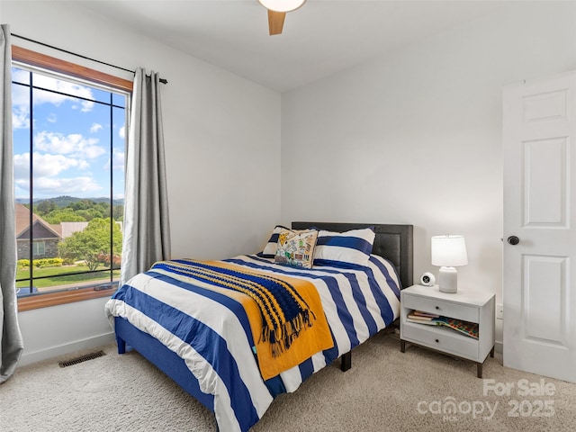15 Carl Roberts Rd, Alexander, NC 28701 - bedroom featuring carpet floors, baseboards, and a ceiling fan