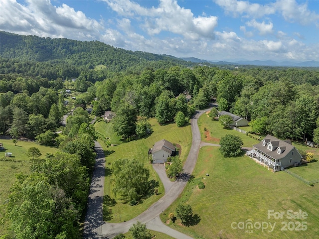 8 Rose Briar Cir, Weaverville, NC 28787 - drone / aerial view of a heavily wooded area