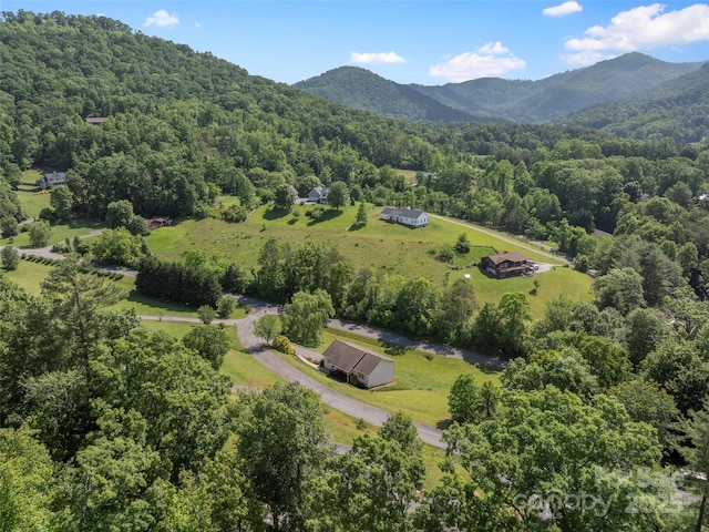 8 Rose Briar Cir, Weaverville, NC 28787 - aerial view of a heavily wooded area and mountains