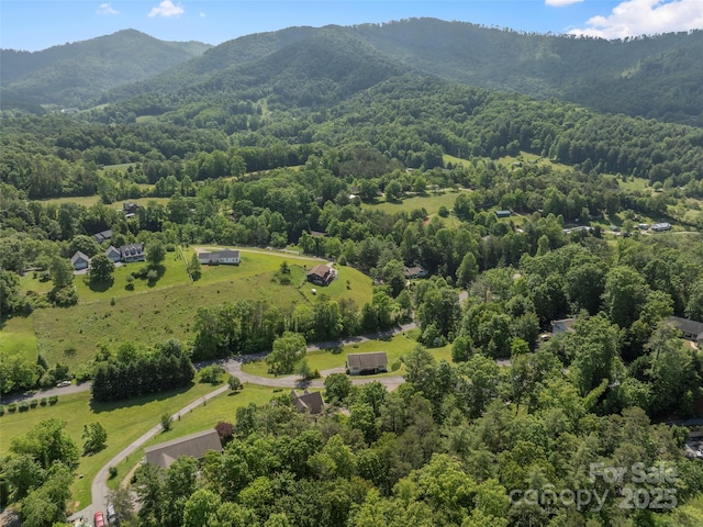 8 Rose Briar Cir, Weaverville, NC 28787 - drone / aerial view of a heavily wooded area and a mountainous background