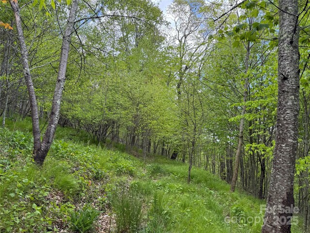 4 Fox Pointe Dr Unit 4, Banner Elk, NC 28604