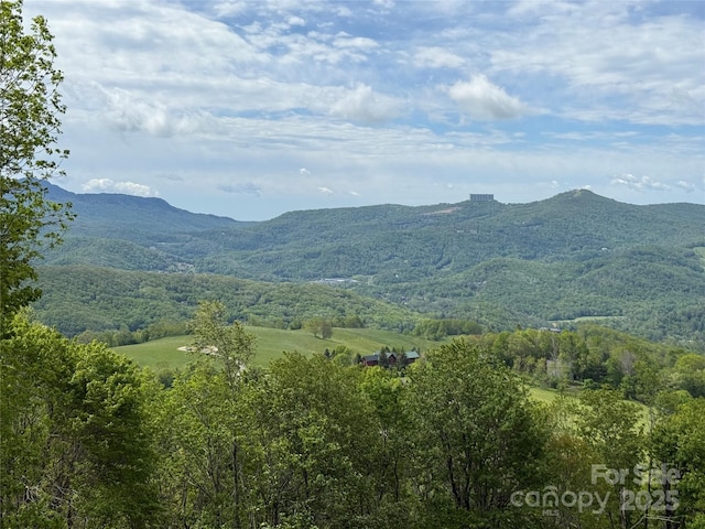4 Fox Pointe Dr Unit 4, Banner Elk, NC 28604