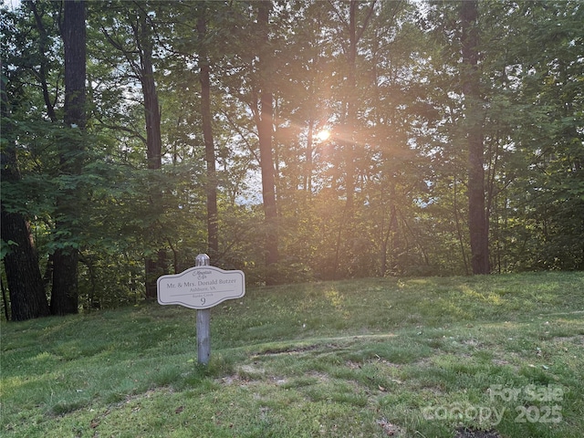 LOT9 Andrew Banks Rd, Burnsville, NC 28714 - photo 1