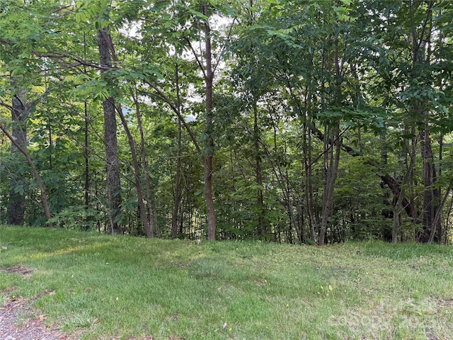 LOT9 Andrew Banks Rd, Burnsville, NC 28714 - photo 3