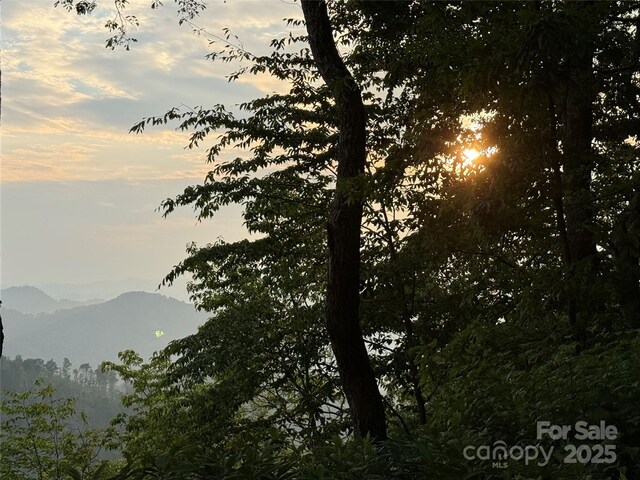 LOT9 Andrew Banks Rd, Burnsville, NC 28714 - photo 5