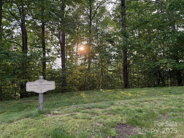 LOT9 Andrew Banks Rd, Burnsville, NC 28714 - photo 8