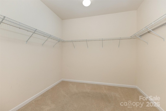 527 Livingston Dr, Lancaster, SC 29720 - photo 29