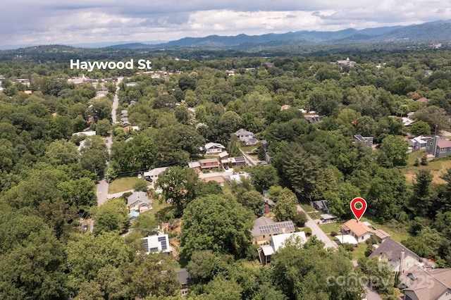 70 Galax Ave, Asheville, NC 28806 - photo 4