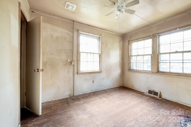 70 Galax Ave, Asheville, NC 28806 - photo 12