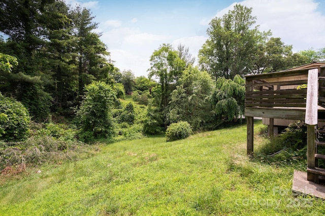 70 Galax Ave, Asheville, NC 28806 - photo 19