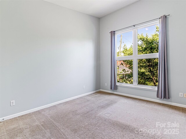 125 Clingman Ave Unit 303, Asheville, NC 28801 - photo 12