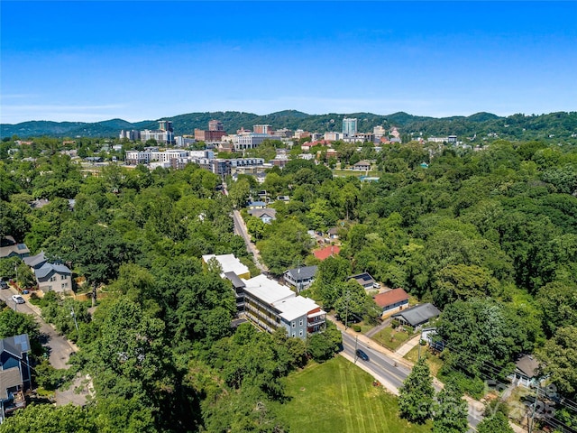 125 Clingman Ave Unit 303, Asheville, NC 28801 - photo 32