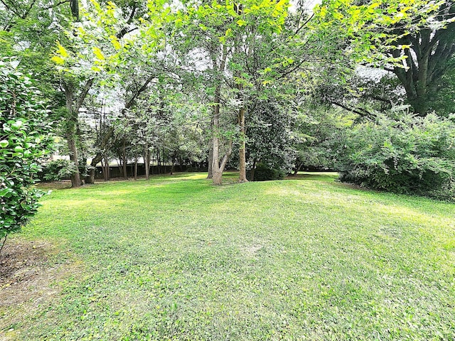 423 N Cedar St, Lincolnton, NC 28092 - photo 18