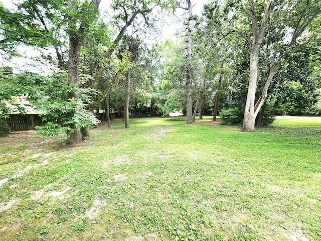423 N Cedar St, Lincolnton, NC 28092 - photo 19