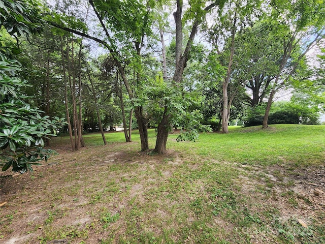423 N Cedar St, Lincolnton, NC 28092 - photo 21