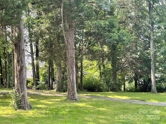 541 Greenway St, Davidson, NC 28036