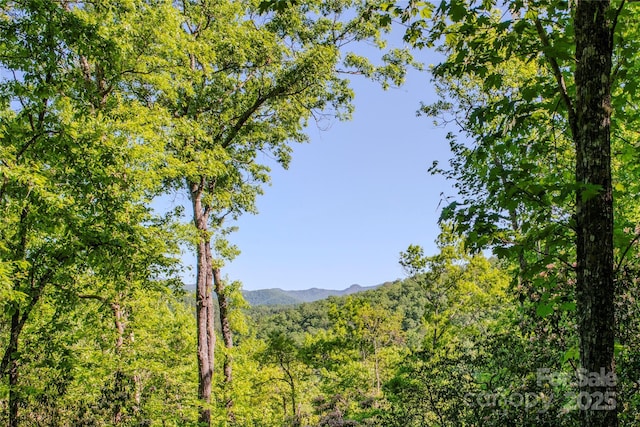 TBD Richland Ridge Road, Lake Toxaway, NC 28747