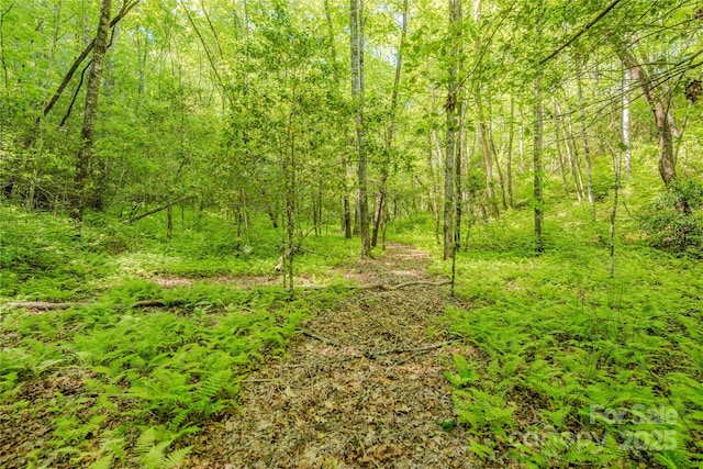TBD Richland Ridge Road, Lake Toxaway, NC 28747
