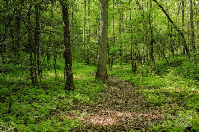 TBD Richland Ridge Road, Lake Toxaway, NC 28747