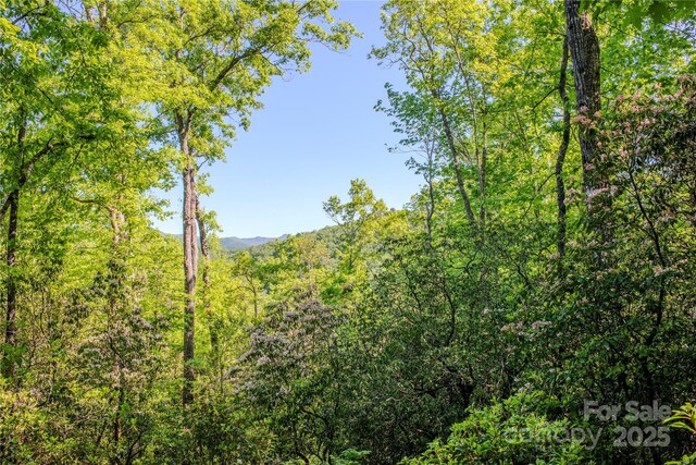 TBD Richland Ridge Road, Lake Toxaway, NC 28747