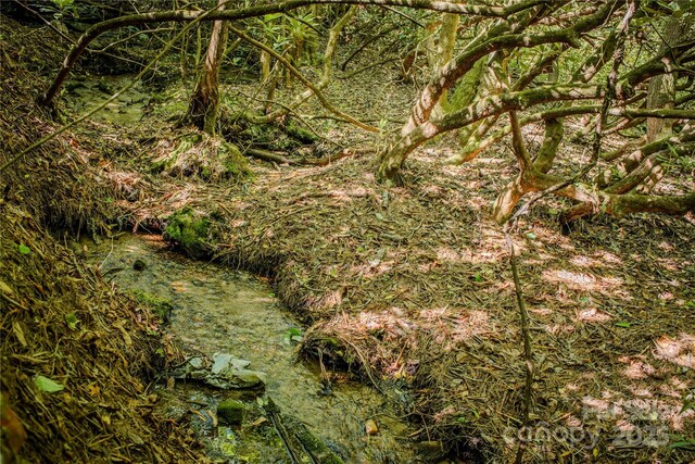 TBD Richland Ridge Road, Lake Toxaway, NC 28747