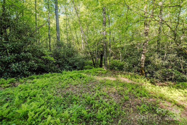 TBD Richland Ridge Road, Lake Toxaway, NC 28747