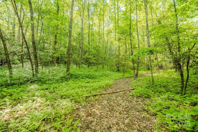 TBD Richland Ridge Road, Lake Toxaway, NC 28747