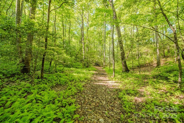 TBD Richland Ridge Road, Lake Toxaway, NC 28747
