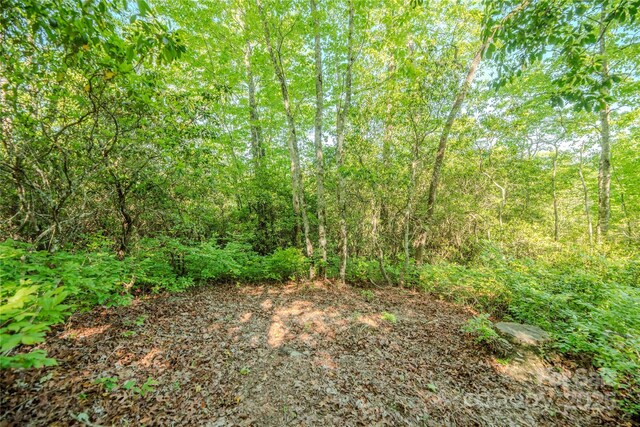 TBD Richland Ridge Road, Lake Toxaway, NC 28747