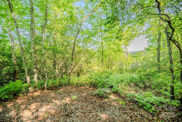 TBD Richland Ridge Road, Lake Toxaway, NC 28747