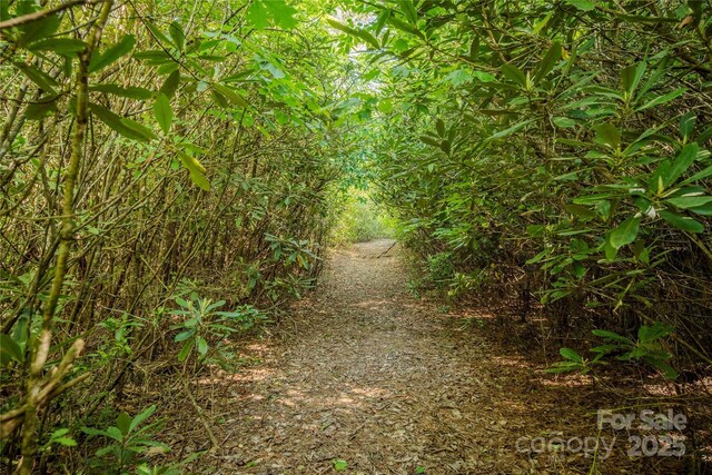 TBD Richland Ridge Road, Lake Toxaway, NC 28747