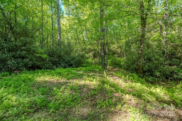 TBD Richland Ridge Road, Lake Toxaway, NC 28747