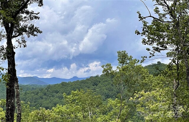 TBD Richland Ridge Road, Lake Toxaway, NC 28747