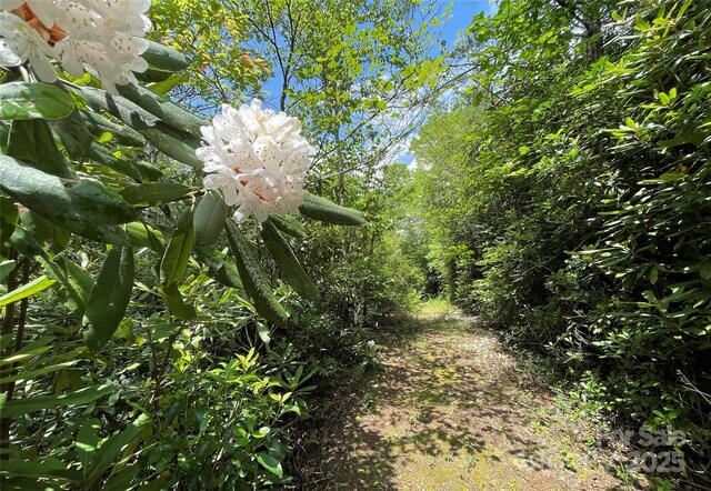 TBD Richland Ridge Road, Lake Toxaway, NC 28747