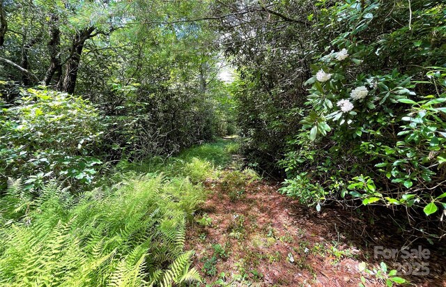 TBD Richland Ridge Road, Lake Toxaway, NC 28747