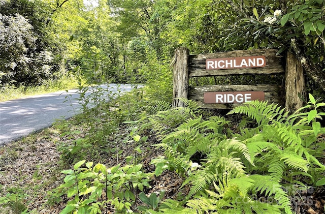 TBD Richland Ridge Road, Lake Toxaway, NC 28747