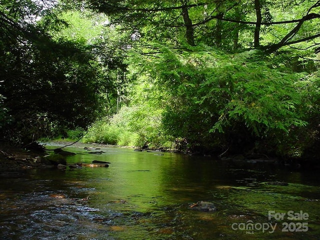TBD Richland Ridge Road, Lake Toxaway, NC 28747